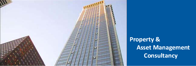property-asset-management-consultancy